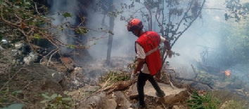 Kenia suspende búsqueda de víctimas del accidente aéreo en el que falleció Michele Sensi – Contugi