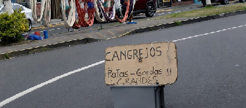 Anuncios y objetos invaden las vías de Sangolquí y generan preocupación por la seguridad vial